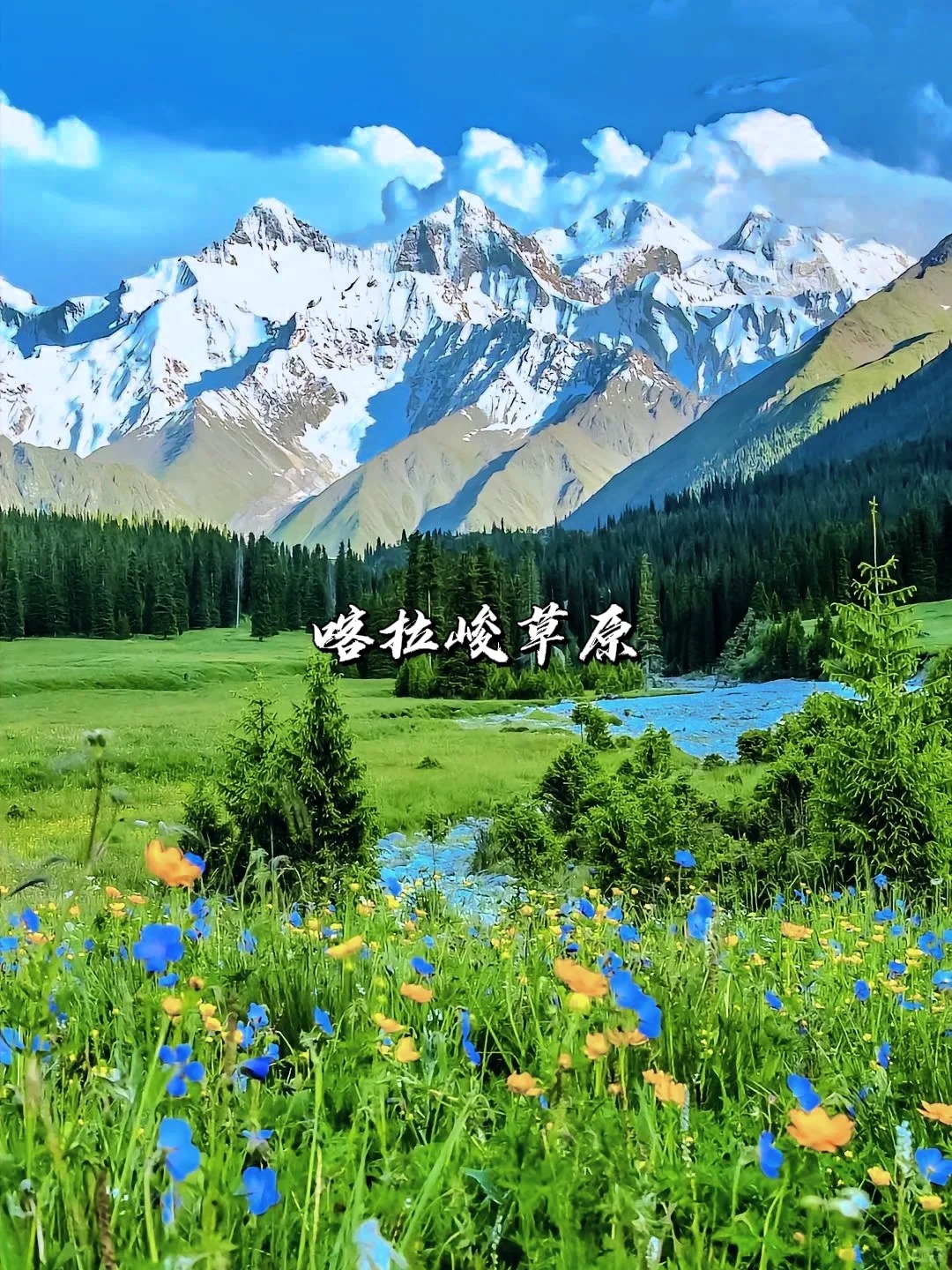 一次性讲清楚｜新疆伊犁八大草原怎么选？_6_风驰旅行_来自tour520旅游攻略